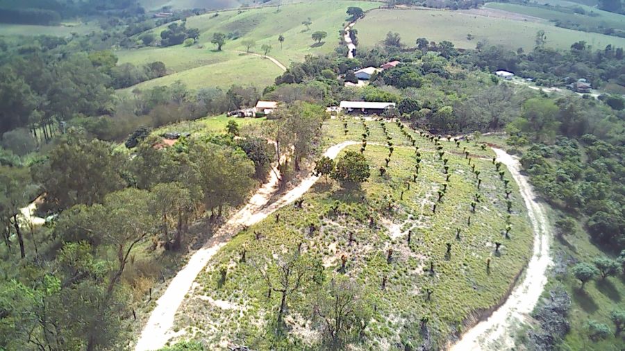 Sítio - Venda - Leais - Serra Negra - SP