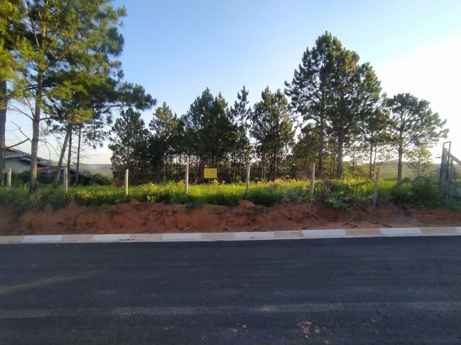 Terreno - Venda - Centro - Serra Negra - SP