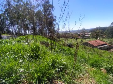 Terreno em Serra Negra SP - 300 m - Rua Tranquila!!